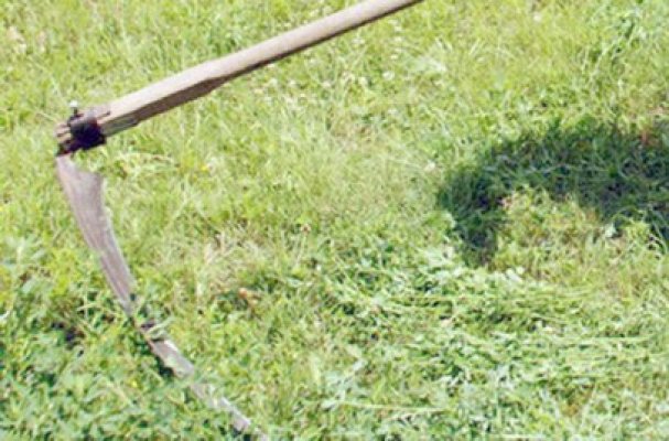 Bărbatul care a atacat două persoane cu o coasă, trimis în judecată